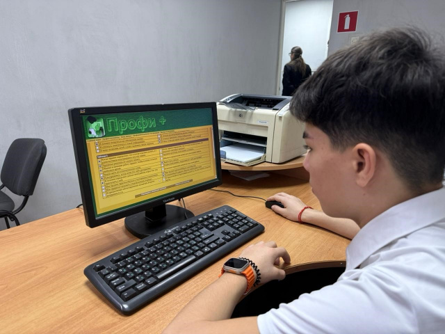 Профессиональное тестирование